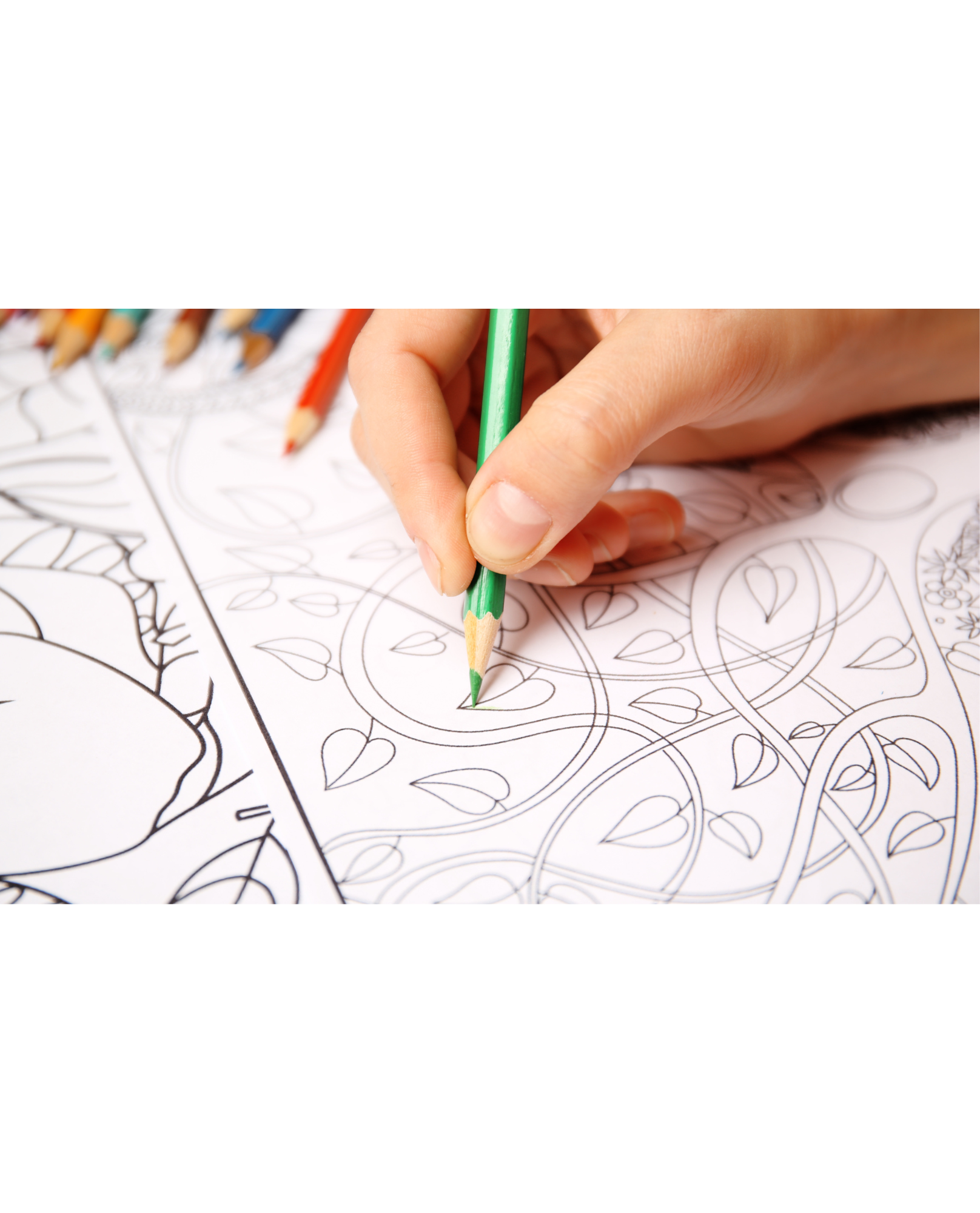 Fantasy Queens - Adult Colouring Book (Printable PDF)