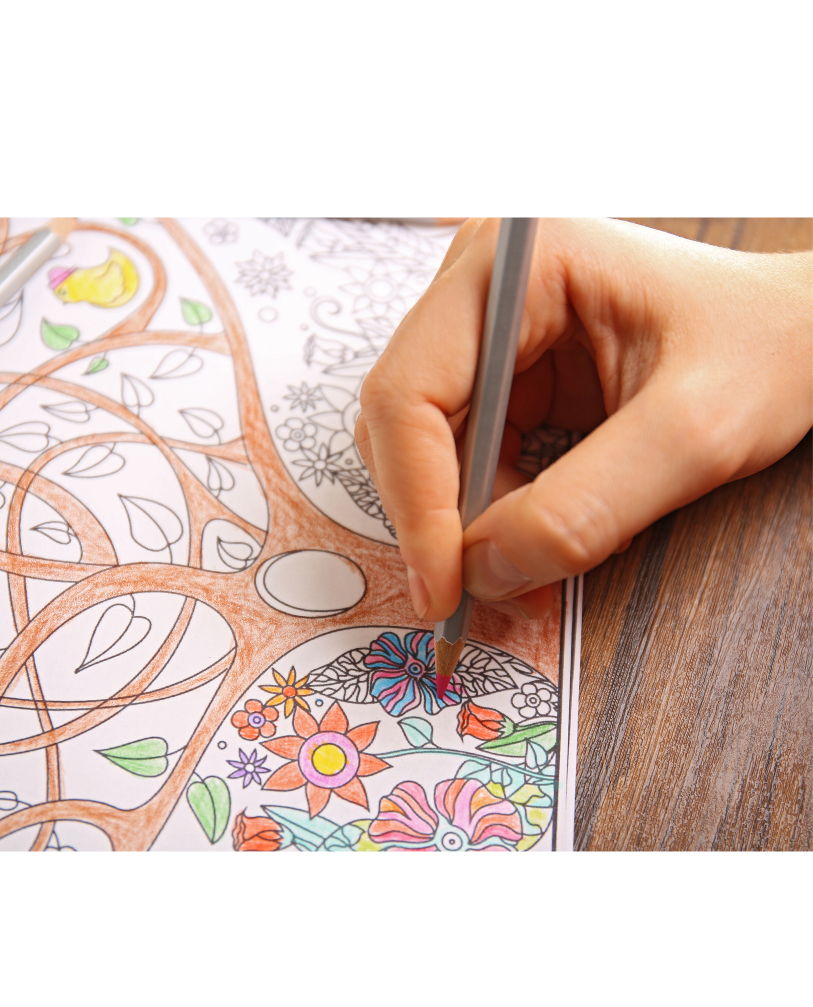 Fantasy Forests - Adult Colouring Book (Printable PDF)