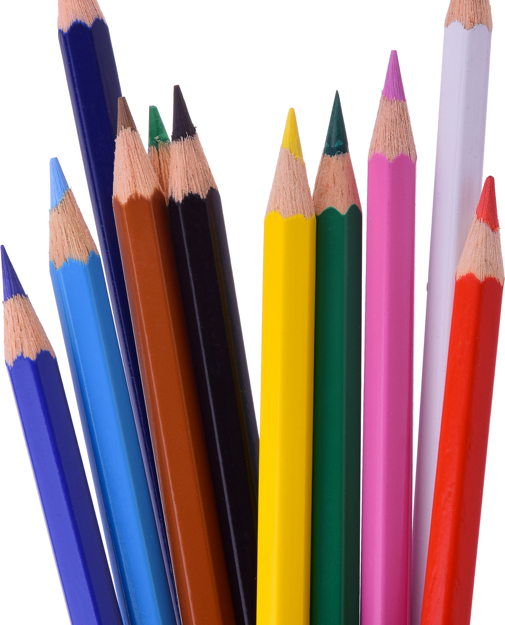 Fantasy Creatures -Adult Colouring Book (Printable PDF)