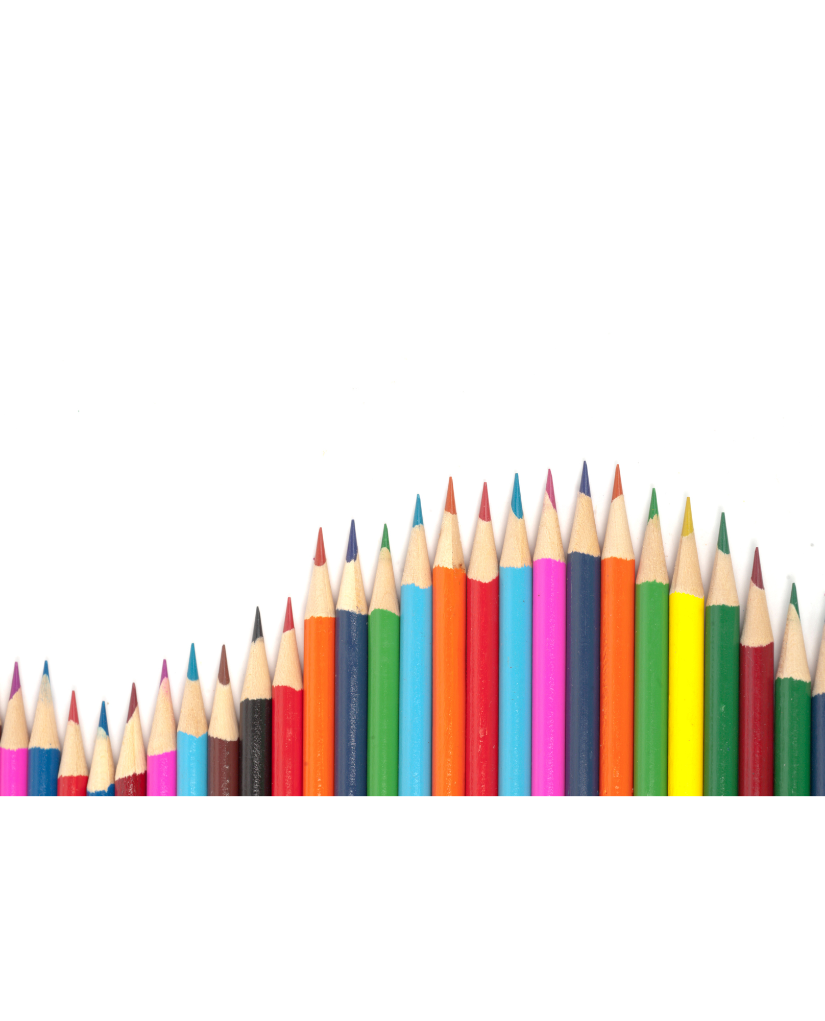 Human Anatomy & Educational Sketches - Adult Colouring Book (Printable PDF)